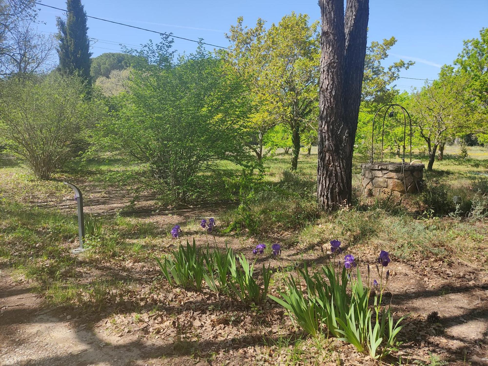 Villa Dans La Foret Provencale Jouques المظهر الخارجي الصورة
