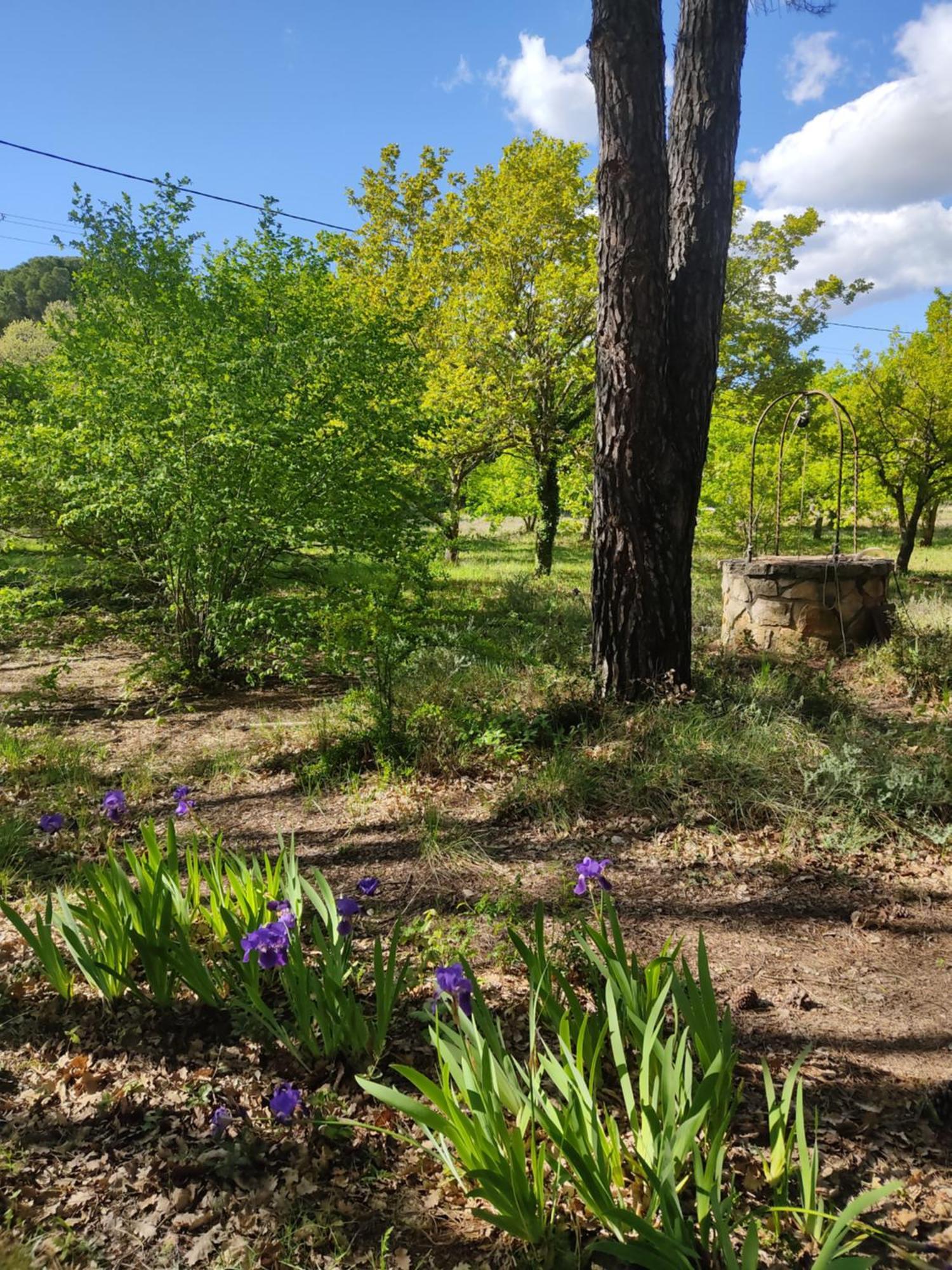 Villa Dans La Foret Provencale Jouques المظهر الخارجي الصورة