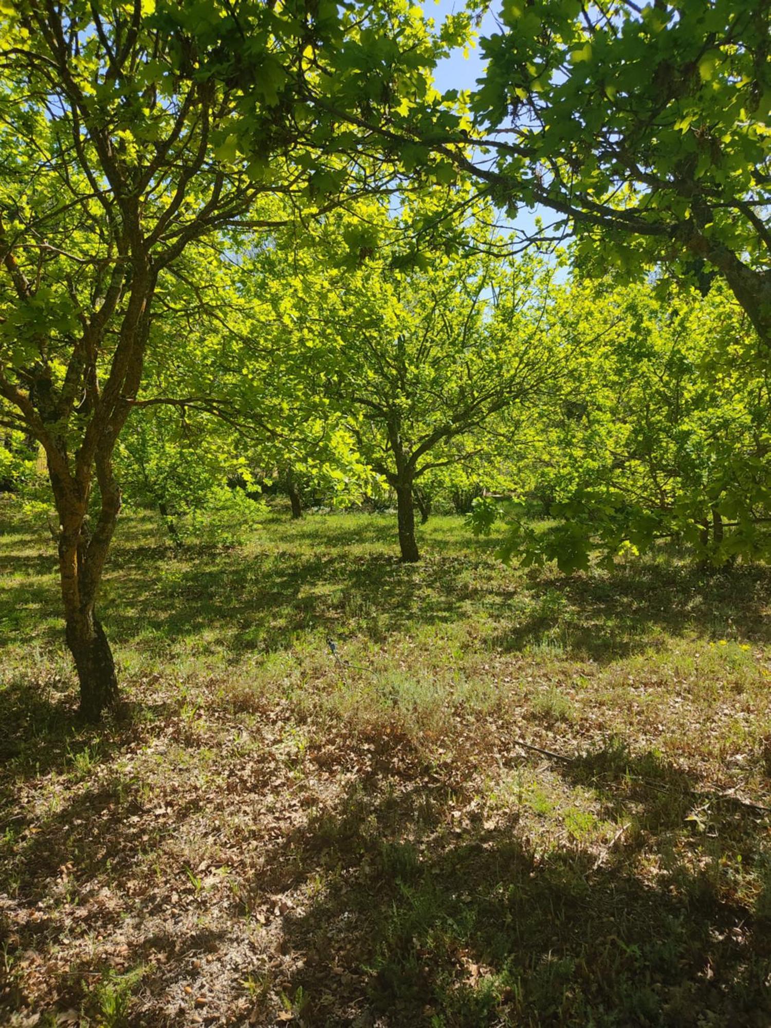 Villa Dans La Foret Provencale Jouques المظهر الخارجي الصورة